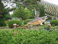 2012 WI Hayward Fish 015